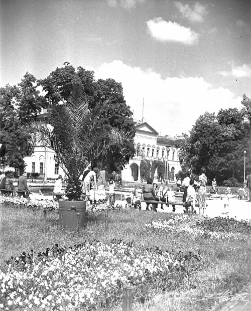 Pl Litewski w Lublinie,zdjęcie E.Hartwiga z lat 70-tych były kwiatki, rabatki i.....palma w doniczce