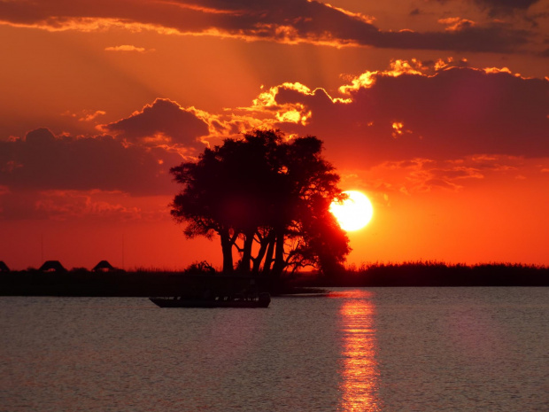 Zachód słońca nad Chobe