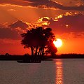 Zachód słońca nad Chobe