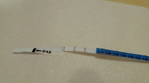 fa764f7fe77cc515med.jpg