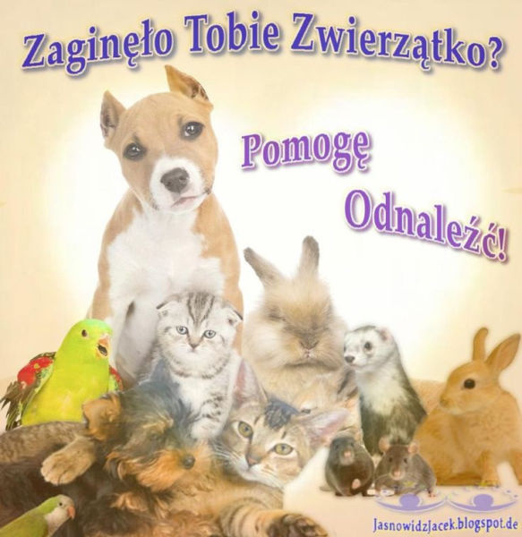 zaginione zwierzęta i ludzie porwani jasnowidzjacek.blogspot.com