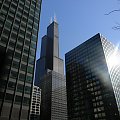 w dali Sears Tower-najwyższy drapacz chmur