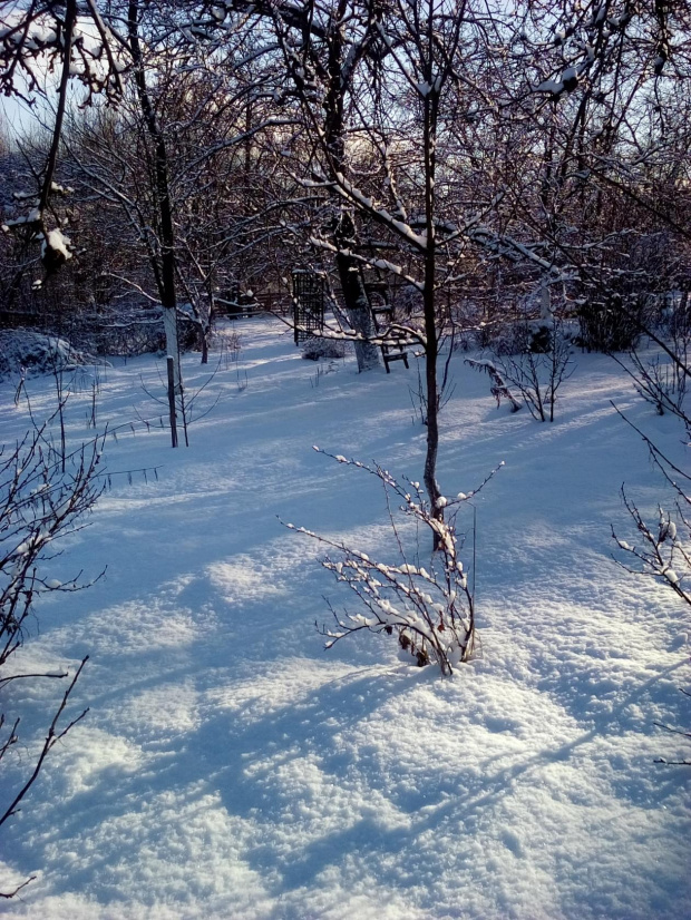 Zima w Polsce/Winter in Poland, Natura 15 241 (autor: jlez)