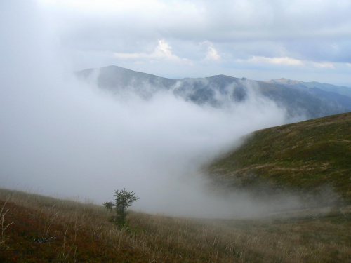 Puchowe chmury w Bieszczadach