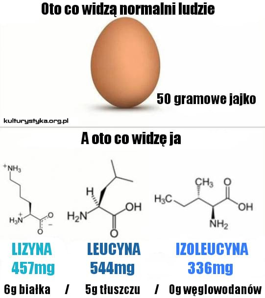 Motywacja do treningu, kulturystyka, memy, kulturystyczne #01