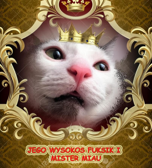 Obrazek