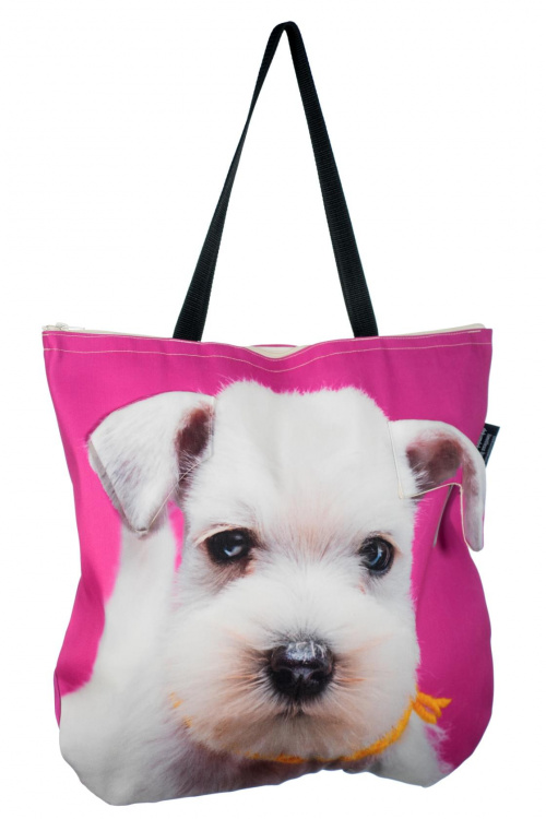 72d4cabbf1159098med.jpg&key=bbb64812c81e